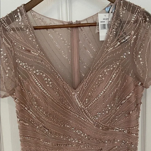 NWT $379 Xscape [ 6 ] V Neck Beaded Chiffon A Line Gown In Blush Pink - Picture 5 of 10